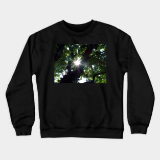 Sunbeam Art Photography Sunshine Shining Through The Summer Tree Beautiful Nature Crewneck Sweatshirt